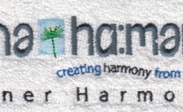 150453 Inner Harmony (Revised) 120x45